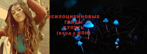 ГАЛЛЮЦИНОГЕННЫЕ ГРИБЫ Абинск