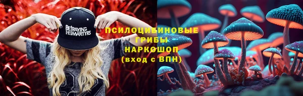 ALPHA-PVP Алексеевка